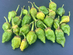 MonsterGum Leopard (Green)(Pepper Seeds)