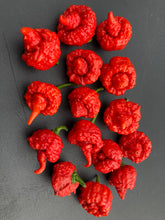 Load image into Gallery viewer, RB003 (Pepper Seeds)