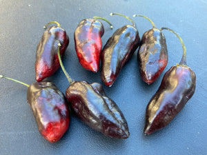 Red Horizon XD (Pepper Seeds) (Limited)