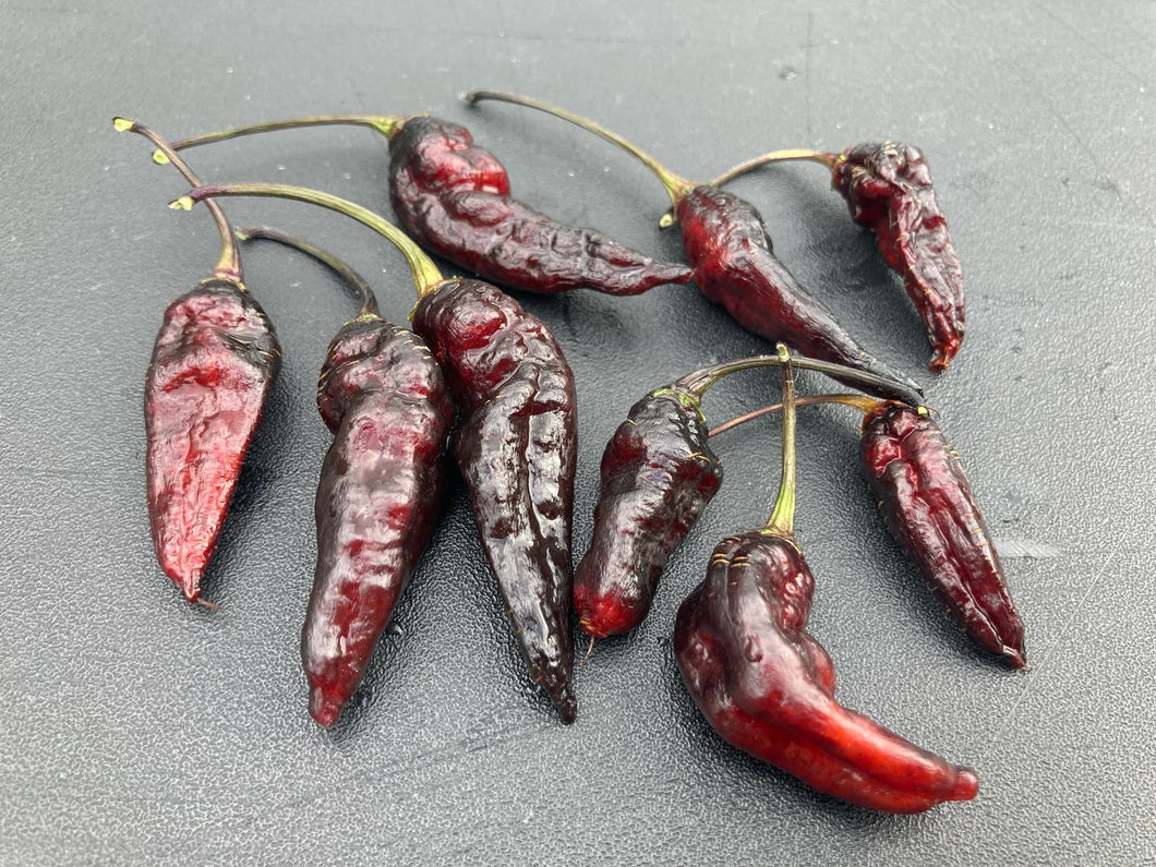 Pimenta Jolokia Black Original (PJ Black OG)(Pepper Seeds)(Limited)