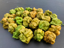 Load image into Gallery viewer, Naglah Mustard (Pepper Seeds)