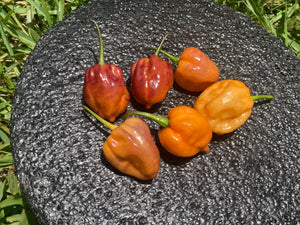 Purple Uprising Orange (Pepper Seeds)