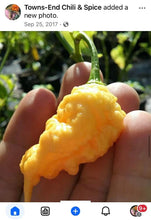 Load image into Gallery viewer, California Reaper (Pepper Seeds)
