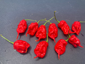 Primotalii Red (Pepper Seeds)