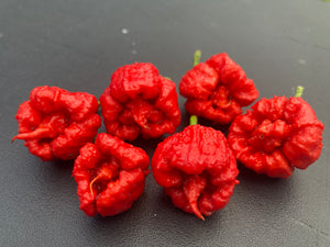 Carolina Reaper Red (Pepper Seeds)