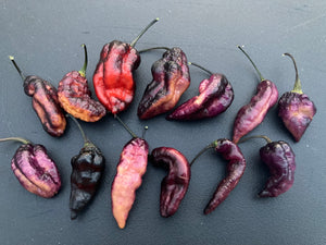 Pandora’s Box Pimenta Jolokia/PJ Mix (Pepper Seeds)