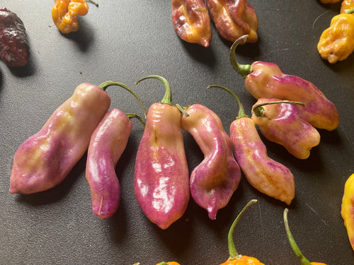 Creamfields Horizon (Limited) (Pepper Seeds)