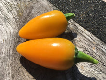 Load image into Gallery viewer, Yellow Jalapeno (Pepper Seeds)
