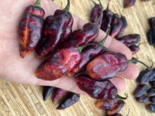 Load image into Gallery viewer, Pandora’s Box Pimenta Jolokia/PJ Mix (Pepper Seeds)