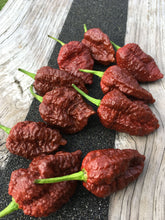 Load image into Gallery viewer, Big Black Mama (Pepper Seeds)