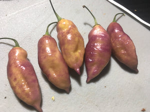 Yellow Tiger (Pepper Seeds)