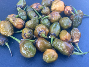 MonsterGum Leopard (Mustard)(Pepper Seeds)