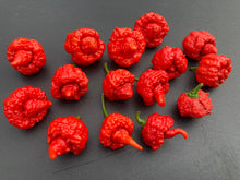 Load image into Gallery viewer, RB003 (Pepper Seeds)