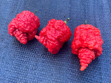 Load image into Gallery viewer, RB003 (Pepper Seeds)
