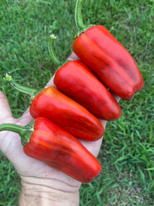 BadFish (Pepper Seeds)