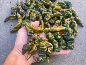 Habanero Mustard Lightning (Pepper Seeds)