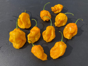 Crown Douglah (Pepper Seeds)