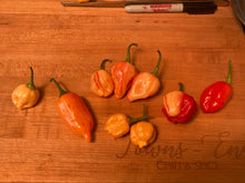 Load image into Gallery viewer, Peppapeach Stripey (Pepper Seeds)
