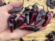 Load image into Gallery viewer, Pandora’s Box Pimenta Jolokia/PJ Mix (Pepper Seeds)