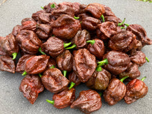 Load image into Gallery viewer, 7 Pot Douglah Chocolate (Pepper Seeds)