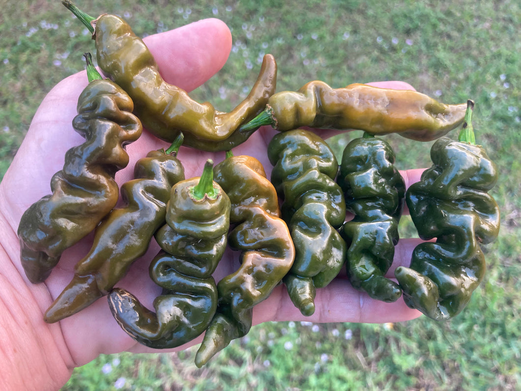 Habanero Mustard Lightning (Pepper Seeds)