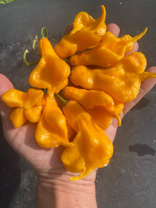 Soul Squeeze (Pepper Seeds)