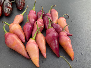 Chuparita Mix) (T-E) (Pepper Seeds)