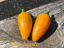 Load image into Gallery viewer, Yellow Jalapeno (Pepper Seeds)