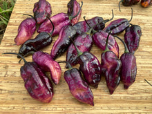 Load image into Gallery viewer, Pandora’s Box Pimenta Jolokia/PJ Mix (Pepper Seeds)