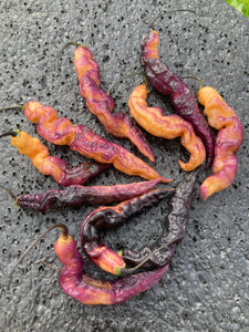 Tiger Murupi Purple Peach (Pepper Seeds)