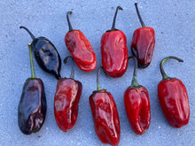 Load image into Gallery viewer, Bryan’s Blood (Darkside Mix) (Pepper Seeds)