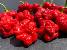 Load image into Gallery viewer, Scotch Bonnet (Red Foodorama) (Pepper Seeds)