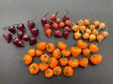 Load image into Gallery viewer, Chuparita (Mix)(T-E) (Pepper Seeds)