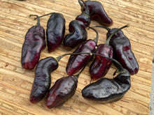 Load image into Gallery viewer, Pandora’s Box Pimenta Jolokia/PJ Mix (Pepper Seeds)