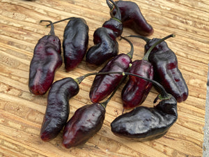 Pandora’s Box Pimenta Jolokia/PJ Mix (Pepper Seeds)