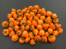 Load image into Gallery viewer, Chuparita (Mix)(T-E) (Pepper Seeds)