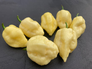 Kremnine (T-E)(Pepper Seeds)