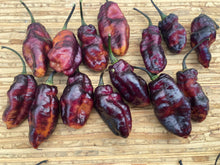 Load image into Gallery viewer, Pandora’s Box Pimenta Jolokia/PJ Mix (Pepper Seeds)