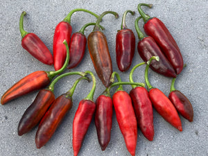 BadPhish (Pepper Seeds)