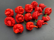 Load image into Gallery viewer, RB003 (Pepper Seeds)