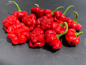 Scotch Bonnet (Red Foodorama) (Pepper Seeds)