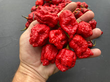 Load image into Gallery viewer, MedullaGum (Pepper Seeds)