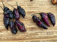 Load image into Gallery viewer, Pandora’s Box Pimenta Jolokia/PJ Mix (Pepper Seeds)