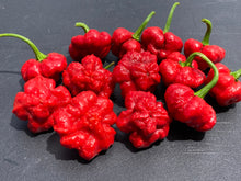 Load image into Gallery viewer, Scotch Bonnet (Red Foodorama) (Pepper Seeds)