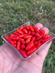 Peri Peri KZN (Pepper Seeds)