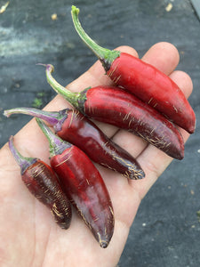 BadPhish (Pepper Seeds)