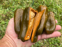Load image into Gallery viewer, Berbre Anaheim Mustard (Pepper Seeds)