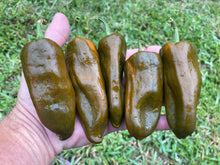 Load image into Gallery viewer, Berbre Anaheim Mustard (Pepper Seeds)