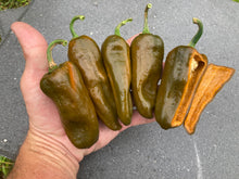 Load image into Gallery viewer, Berbre Anaheim Mustard (Pepper Seeds)