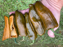 Load image into Gallery viewer, Berbre Anaheim Mustard (Pepper Seeds)